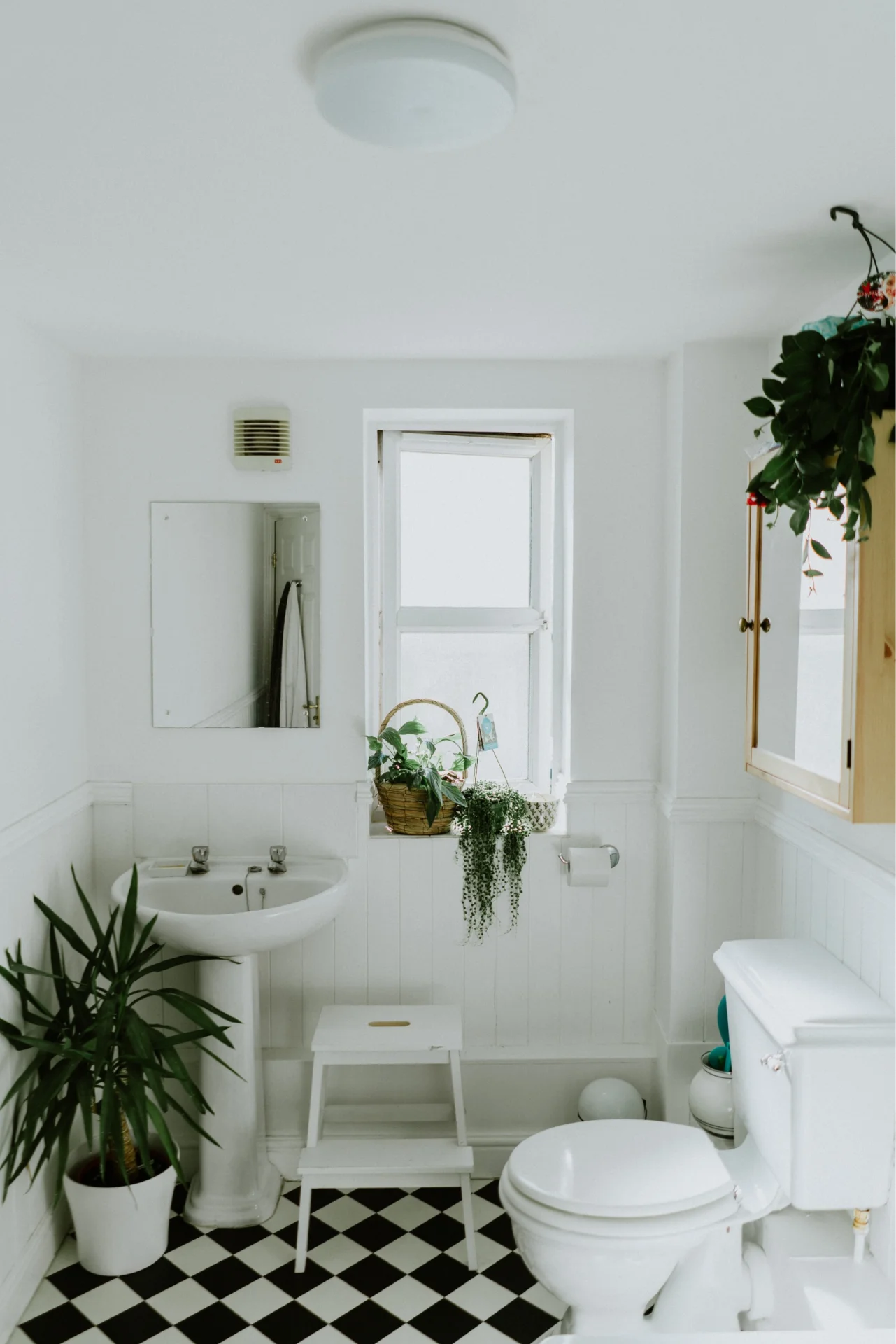 Real state apartment